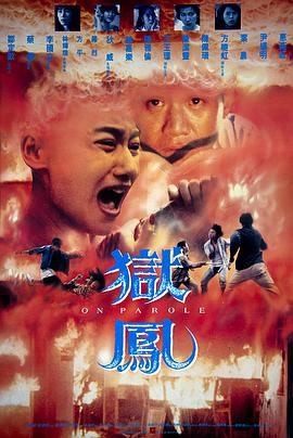 《金梅瓶免费观看》